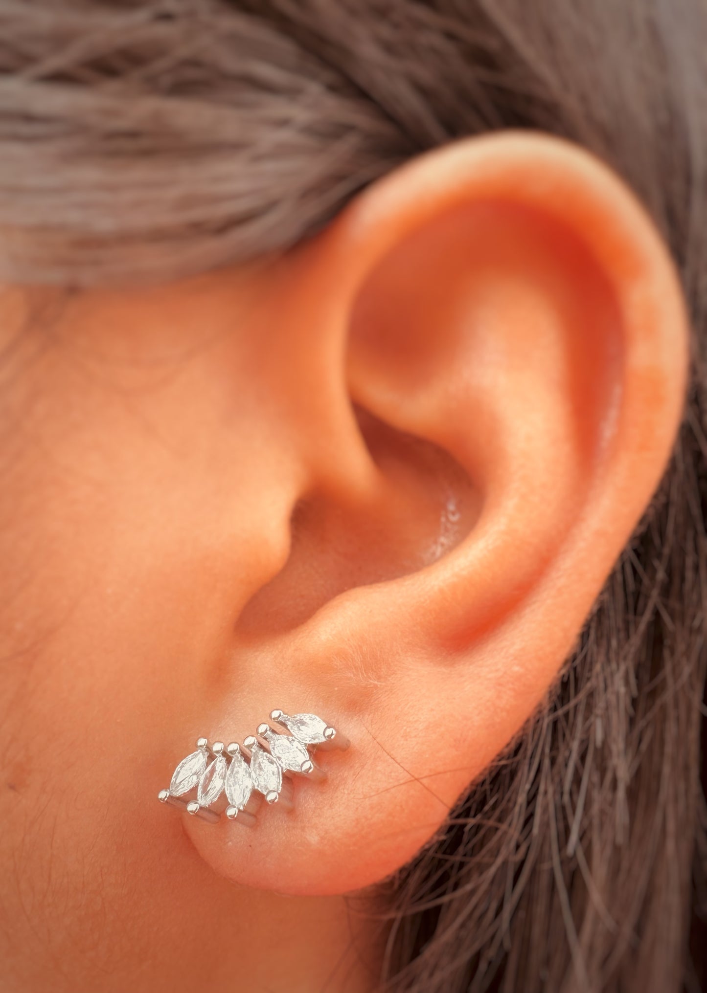 Aretes Dorados y Plateados con Zirconias
