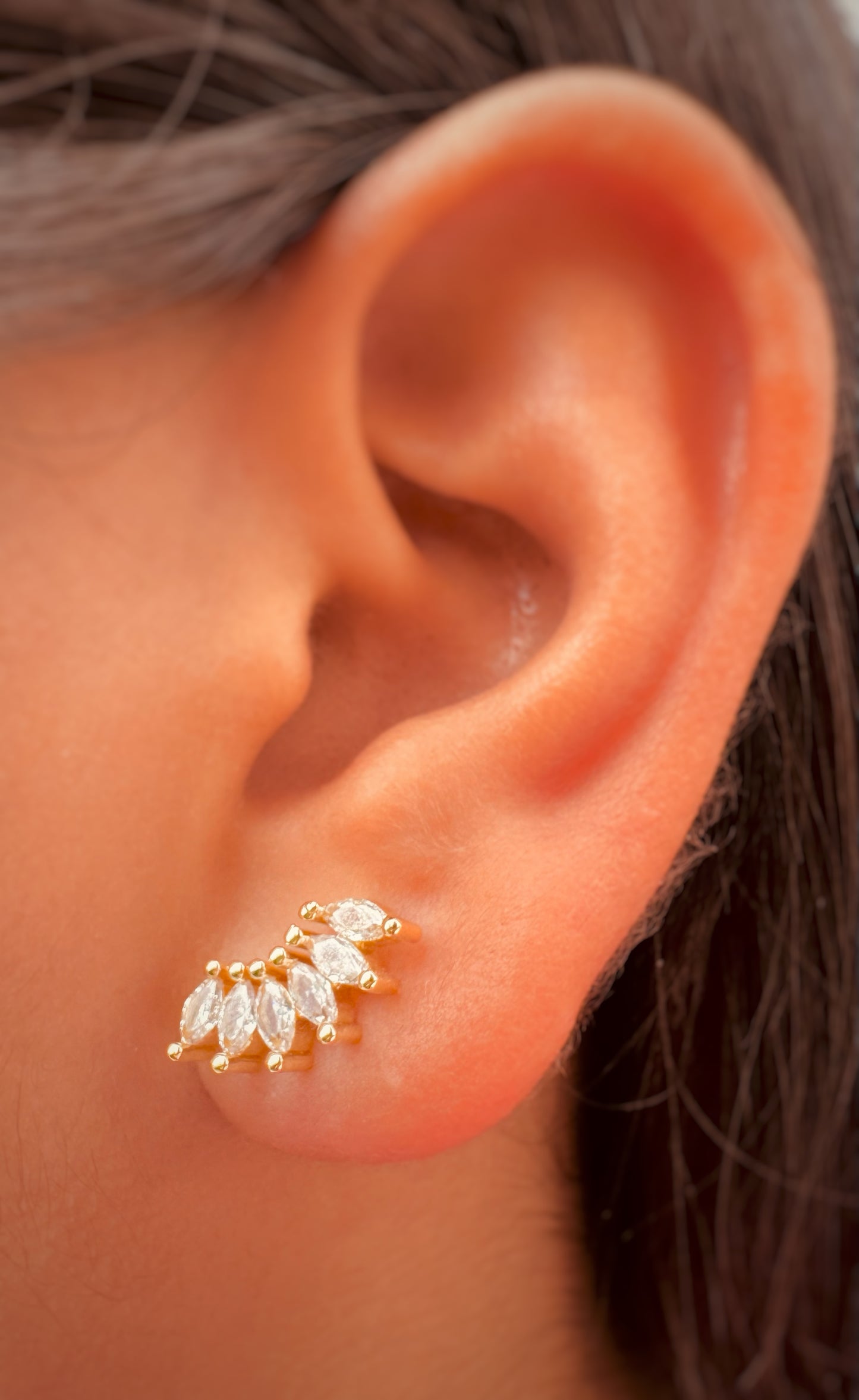 Aretes Dorados y Plateados con Zirconias