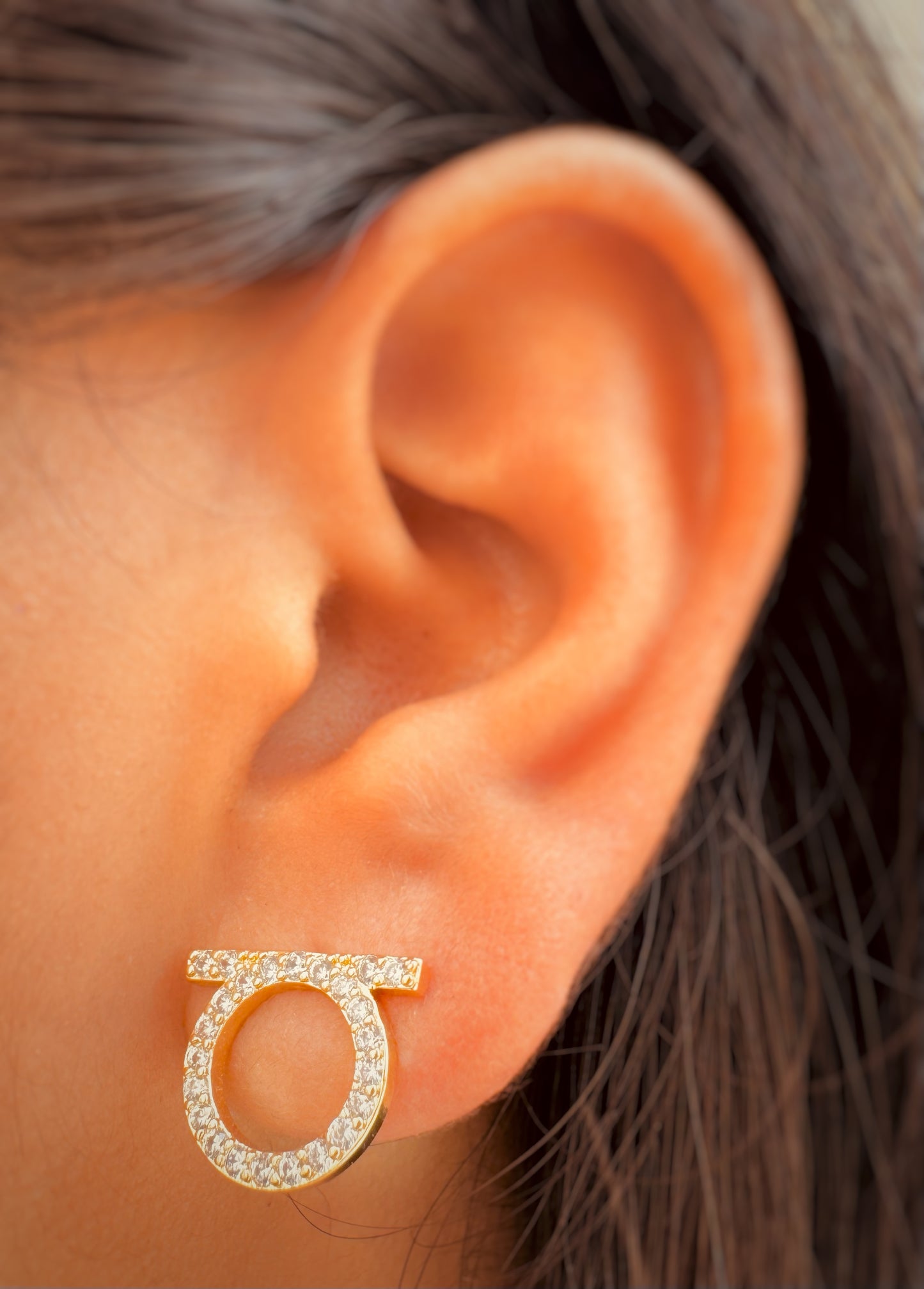 Aretes Tipo Ferragamo - Estilo Minimalista