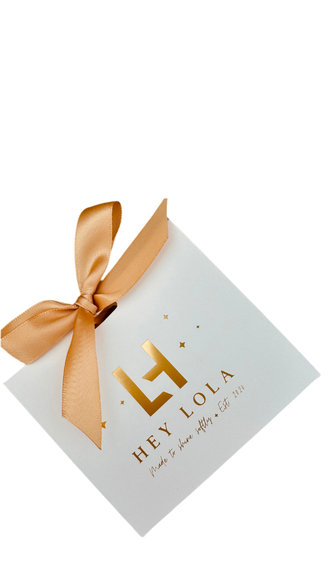 Bolsa de regalo