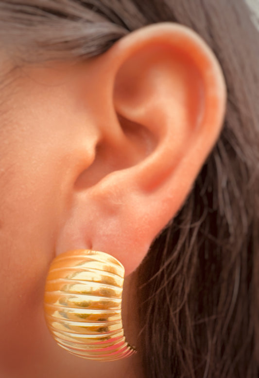 Aretes Envolventes Dorados y Plateados