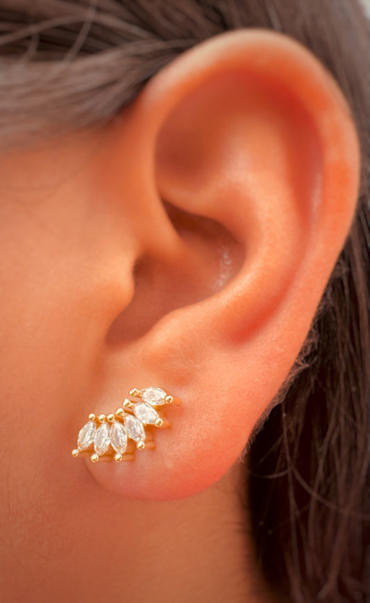 Aretes Dorados y Plateados con Zirconias