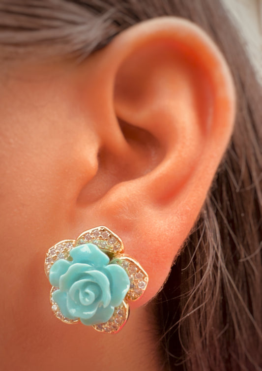 Aretes Rosa