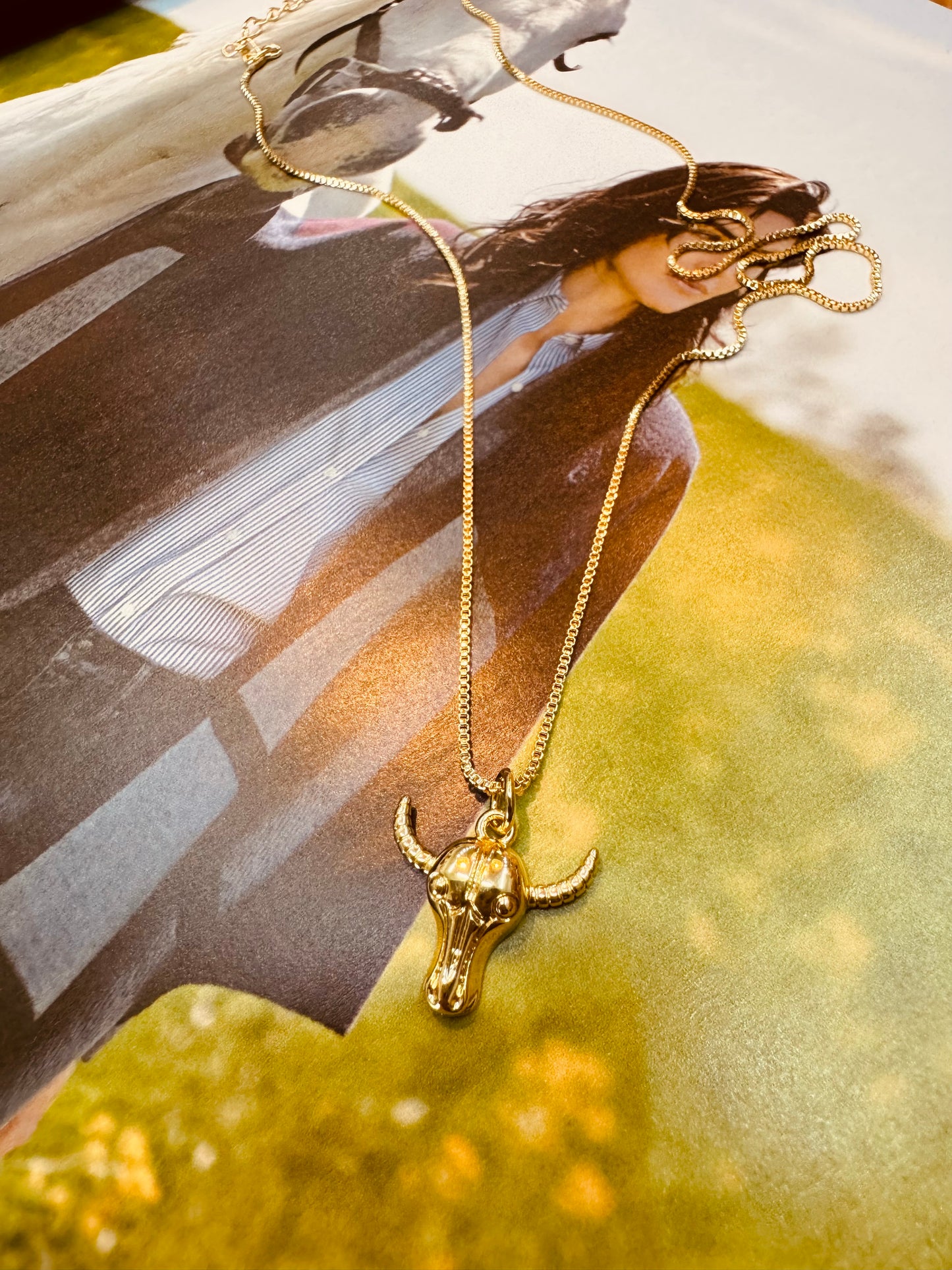 Collar Cabeza de Toro / Heylola