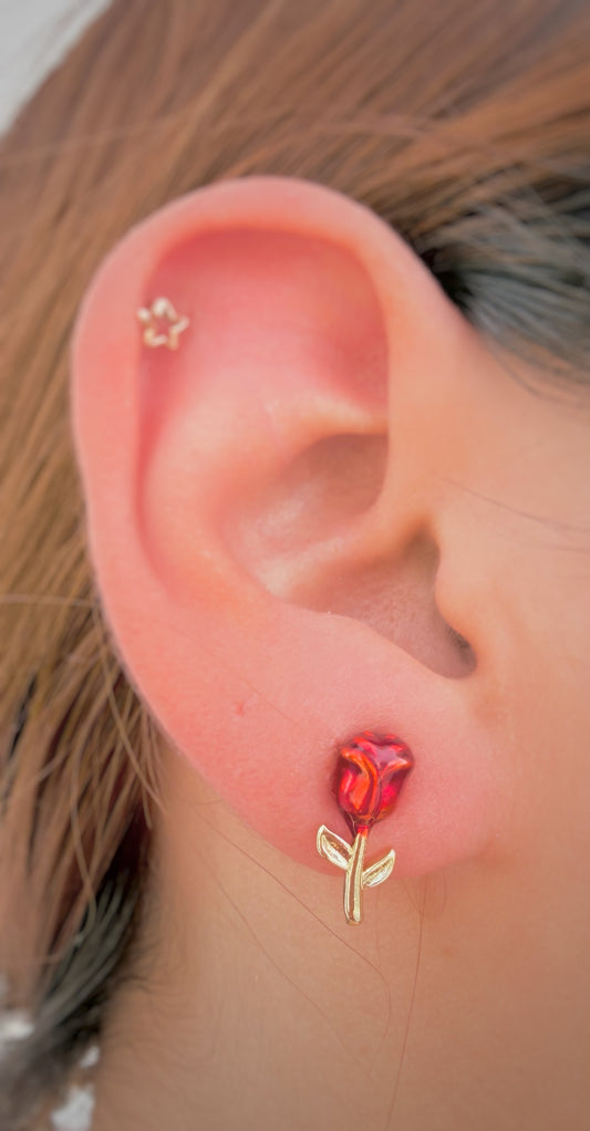 Aretes Rosa Roja Mini