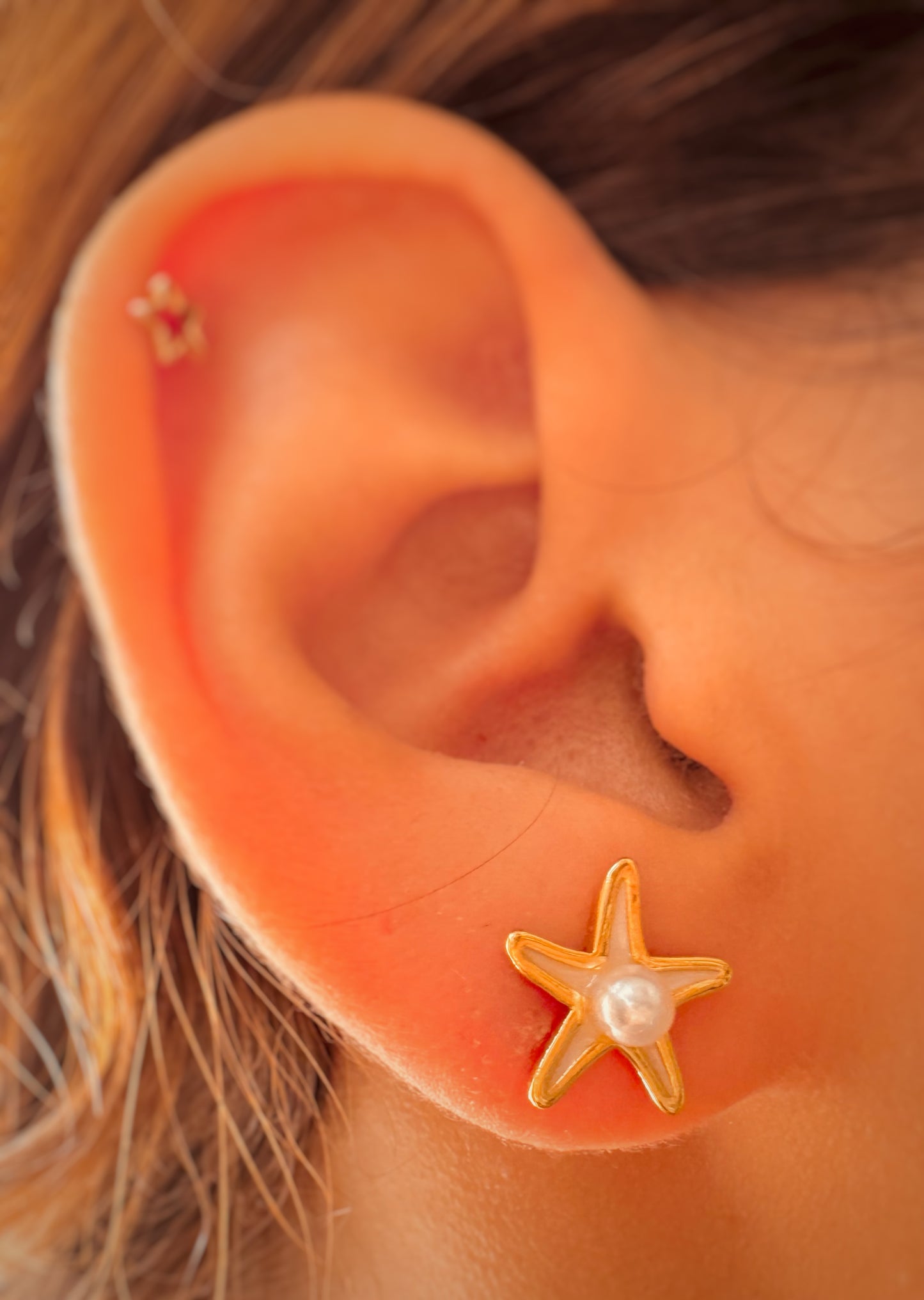 Aretes Estrella de Mar
