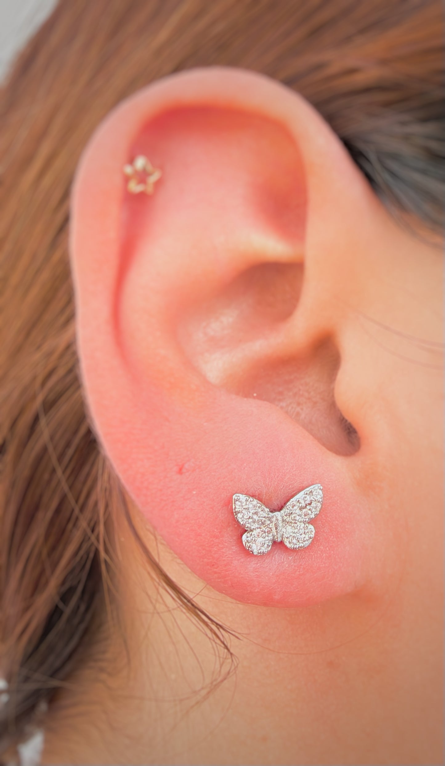 Aretes Mariposa Brillante