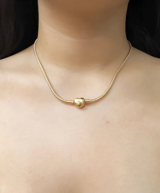 Collar de Corazón para Charms”