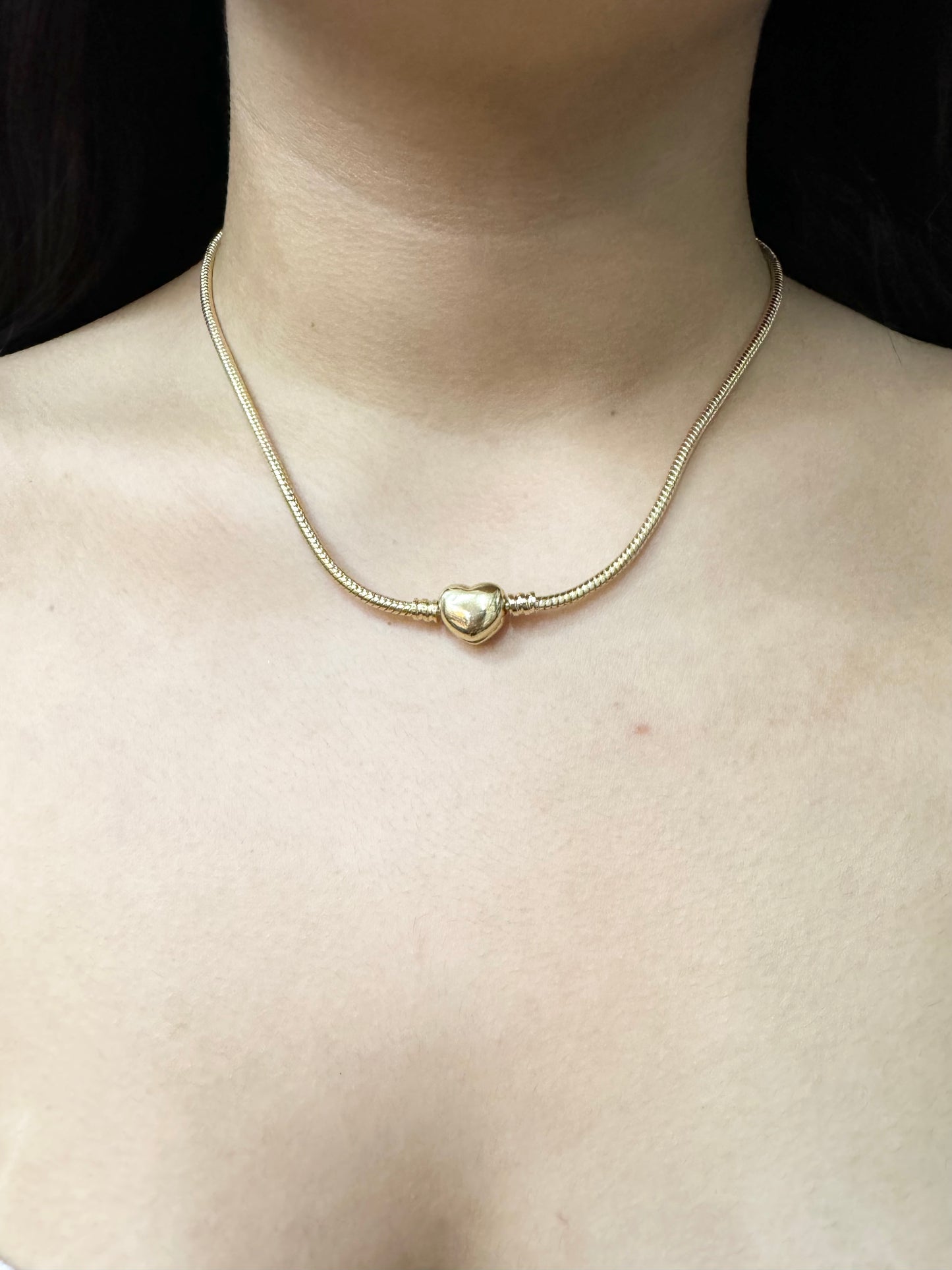 Collar de Corazón para Charms”