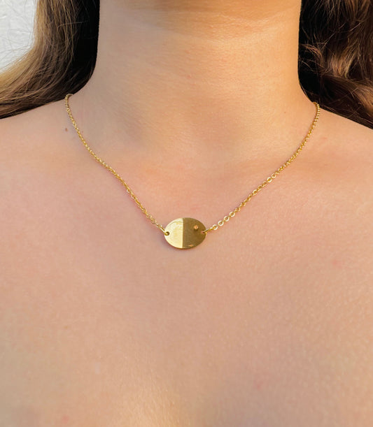 Collar Personalizable Medalla Horizontal