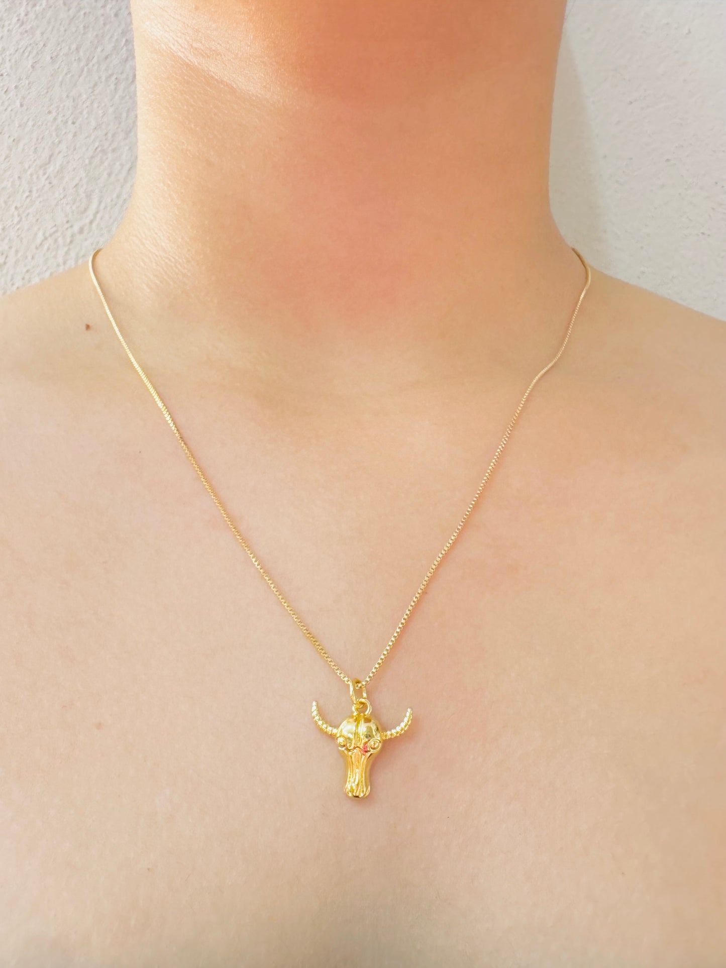 Collar Cabeza de Toro / Heylola