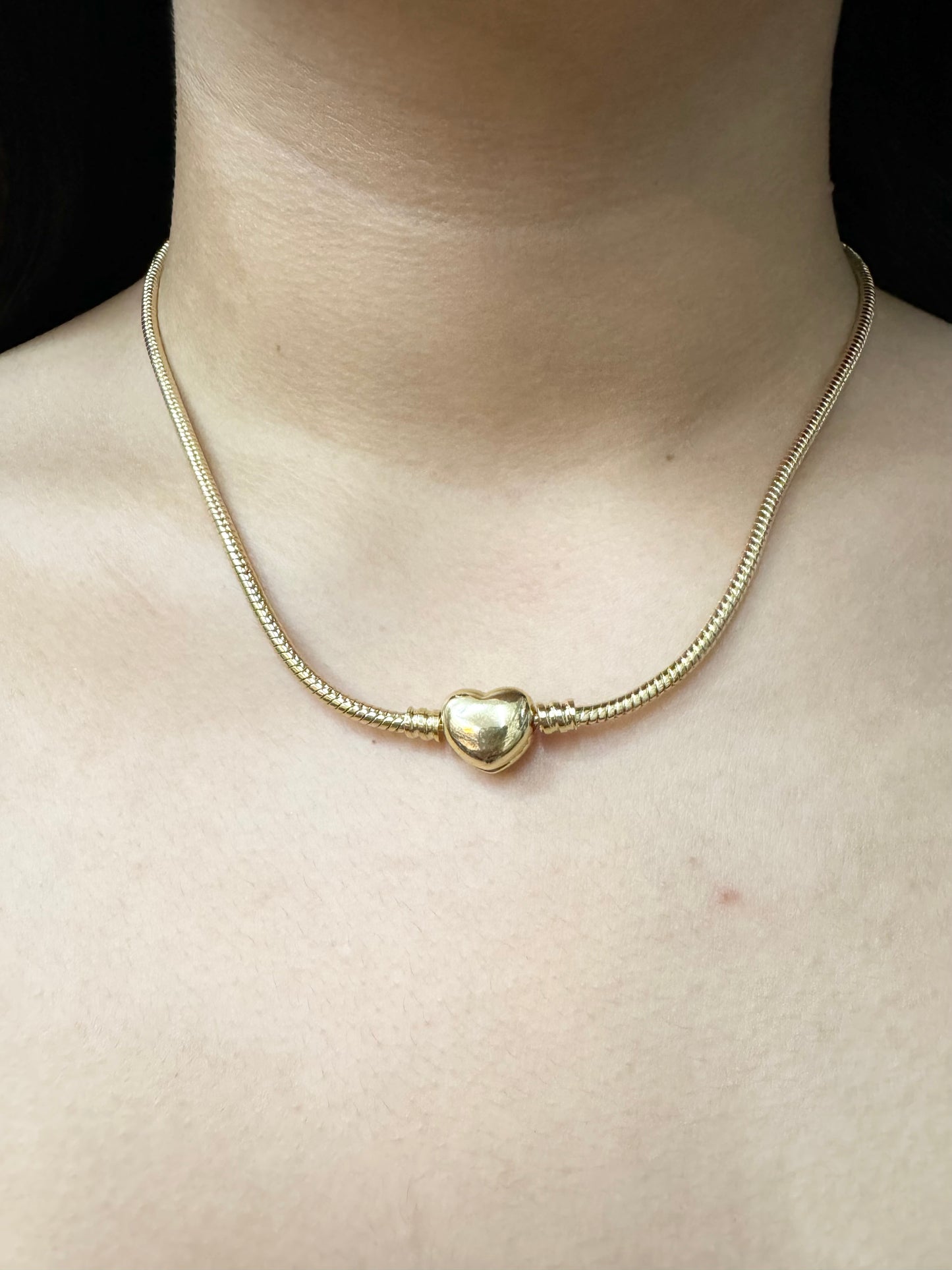 Collar de Corazón para Charms”